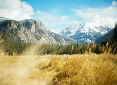 The Adventure of the Missing Hiker: Glacier National Park